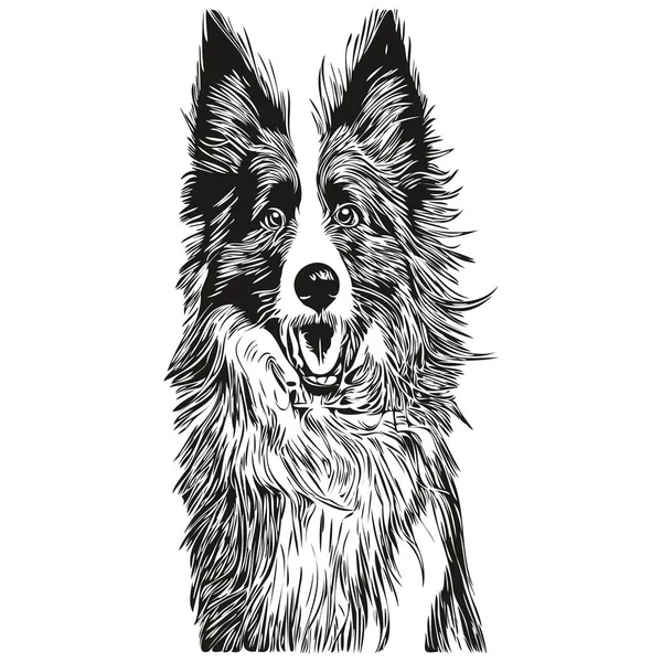 Граница Collies Собака Нарисовал Логотип Рисунок Черно Белой Линии Живописи — стоковый вектор