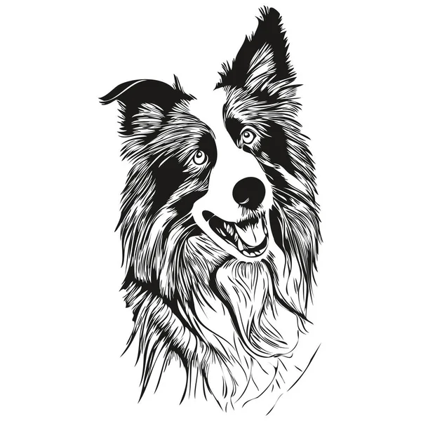 Border Collies Hond Met Hand Getekend Logo Tekening Zwart Wit — Stockvector