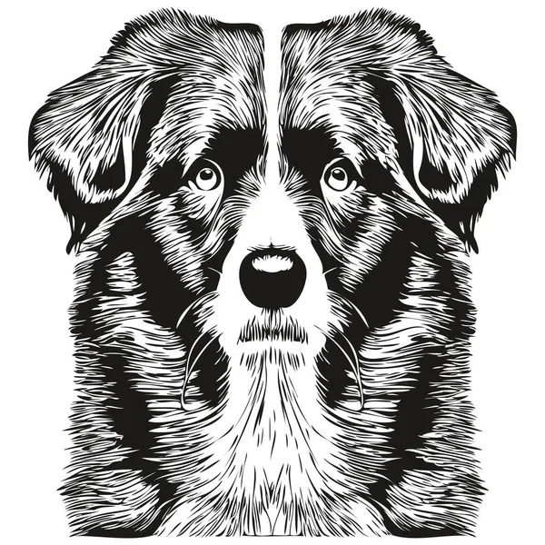 Sınır Collies Köpek Eli Çizilmiş Logo Siyah Beyaz Çizgi Çizili — Stok Vektör