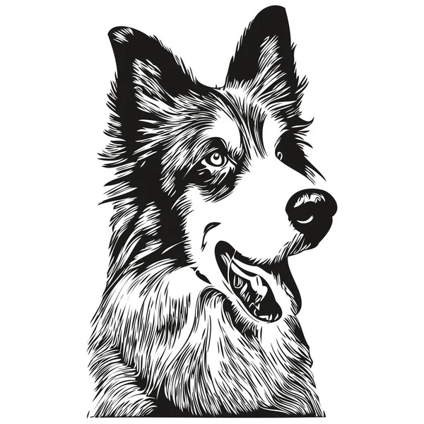 边境科林斯犬手绘标识画黑白线条艺术宠物图解 — 图库矢量图片