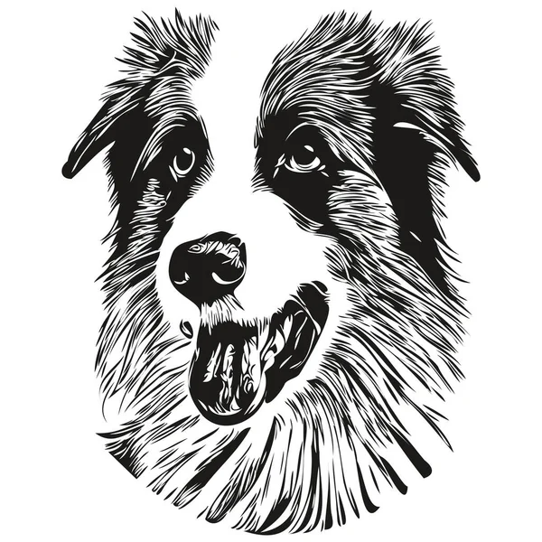 Граница Collies Собака Нарисовал Векторную Линию Рисунок Черно Белый Логотип — стоковый вектор
