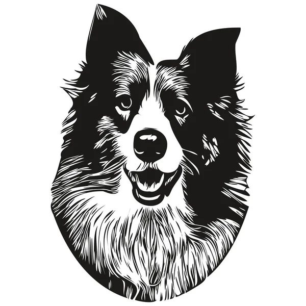 Border Collies Dog Line Art Draw Vector Logo Black White — 스톡 벡터