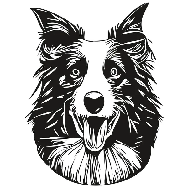 Border Collie Pies Linia Sztuka Ręka Rysunek Wektor Logo Czarno — Wektor stockowy