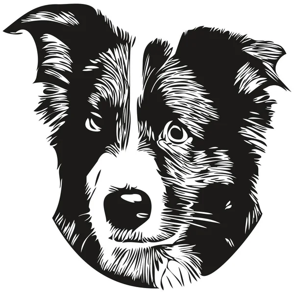 Hudut Collies Köpek Çizgisi Sanat Çizimi Vektör Logosu Siyah Beyaz — Stok Vektör