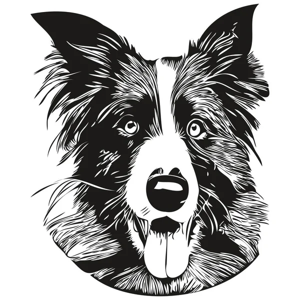 Border Collies Hunde Linie Kunst Hand Zeichnung Vektor Logo Schwarz — Stockvektor