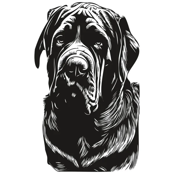 Cane Corso Собака Черно Белый Векторный Логотип Линия Рисунок Вручную — стоковый вектор