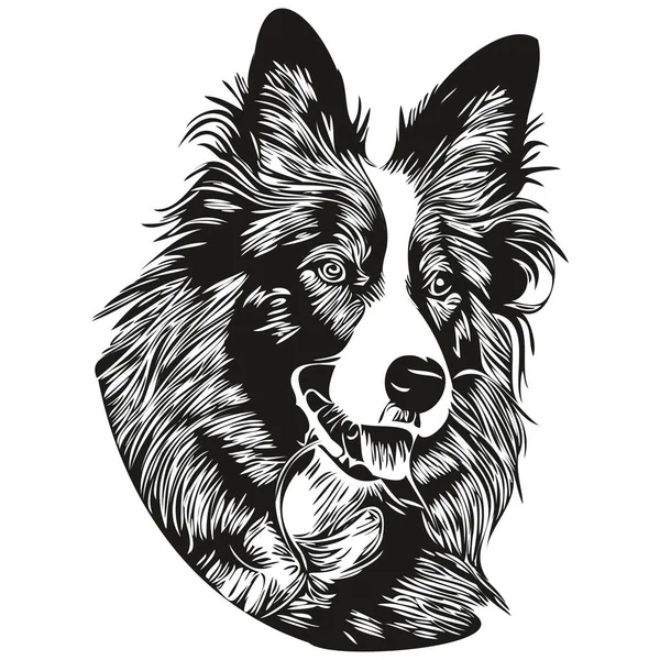 Border Collies Dog Line Art Draw Vector Logo Black White — 스톡 벡터