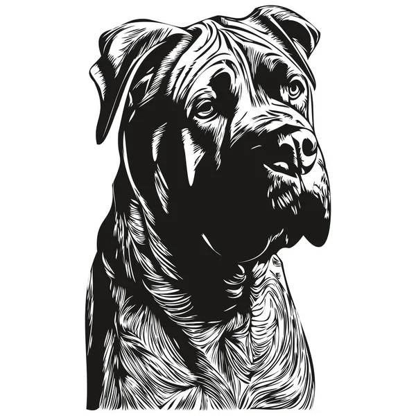 Cane Corso Pes Černé Bílé Vektorové Logo Line Art Ručně — Stockový vektor