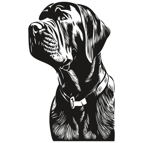 Cane Corso Dog Black White Vector Logo Line Art Draw — 스톡 벡터