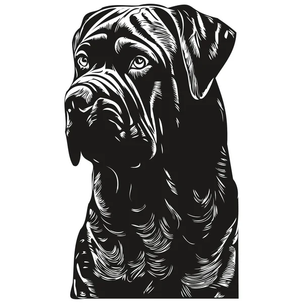 Cane Corso köpek el çizimi çizimi sanat vektörü siyah beyaz logo hayvanları grafiği