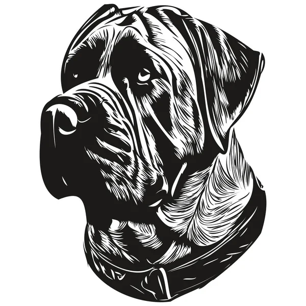 Cane Corso Собака Нарисовал Линию Вектор Рисования Черно Белый Логотип — стоковый вектор