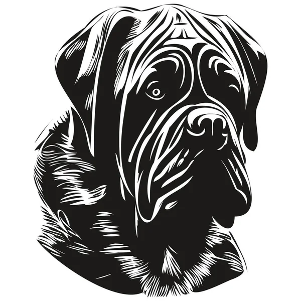 Cane Corso Dog Line Art Draw Vector Logo Black White — 스톡 벡터
