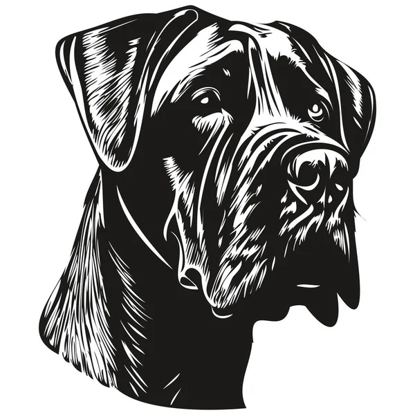 Cane Corso Dog Line Art Hand Drawing Logo Black White — стоковый вектор