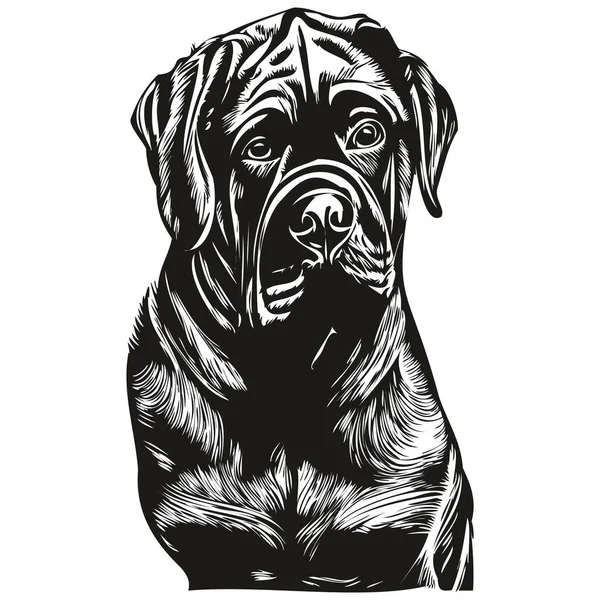 Cane Corso Dog Line Art Hand Drawing Vector Logo Black — Stock Vector