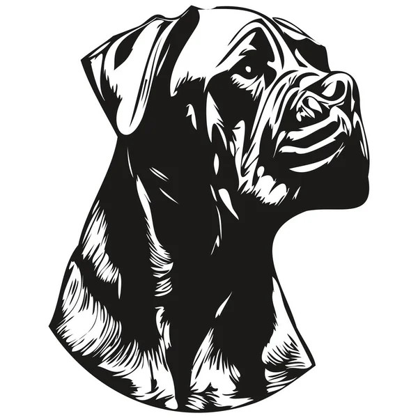 Cane Corso Logotipo Cão Desenhado Mão Linha Arte Vetor Desenho — Vetor de Stock