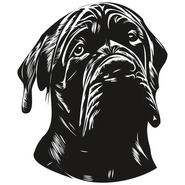 Cane Corso Hund Vektor Illustration Handgezeichnete Linie Kunst Haustiere Logo — Stockvektor