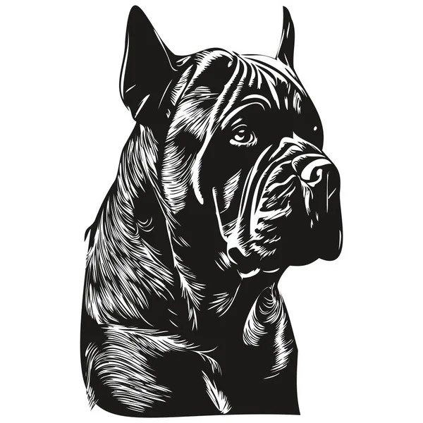 Тростини Корсо Собаки Векторні Ілюстрації Намальовані Вручну Лінії Мистецтва Домашніх — стоковий вектор