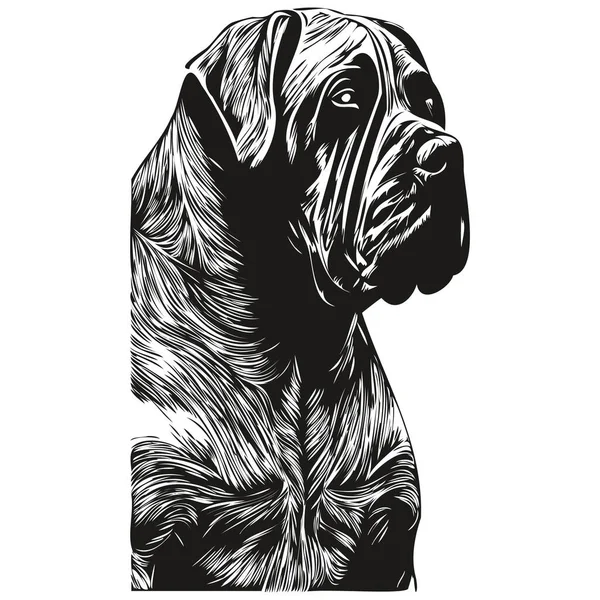 Ilustrasi Vektor Anjing Cane Corso Gambar Tangan Logo Hewan Peliharaan - Stok Vektor