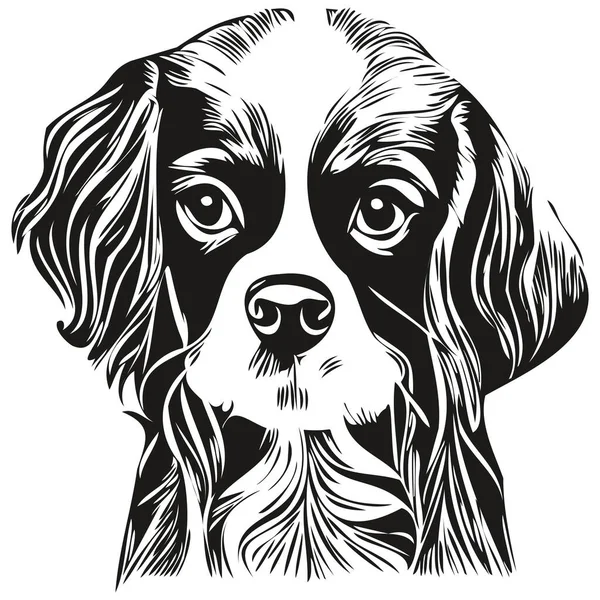 Cavalier King Charles Spaniels Dog Black White Vector Logo Line — Stock Vector