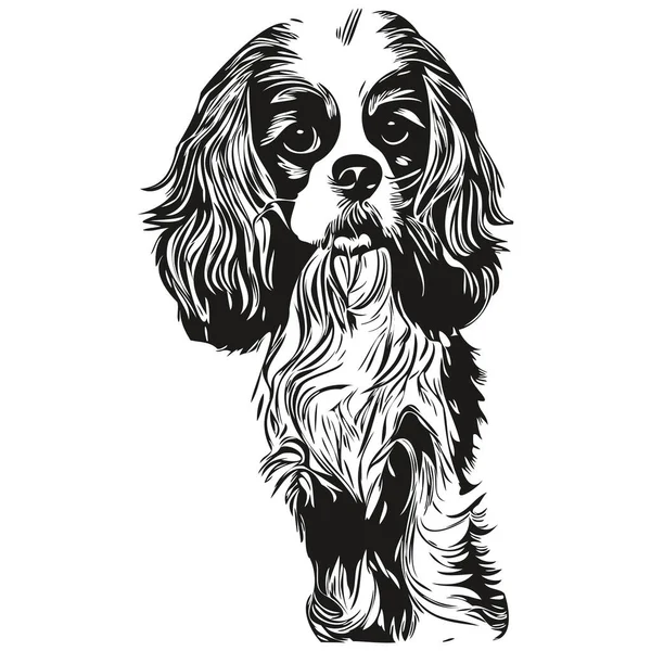 Kavaljeren Kung Charles Spaniels Hund Svart Och Vit Vektor Logotyp — Stock vektor