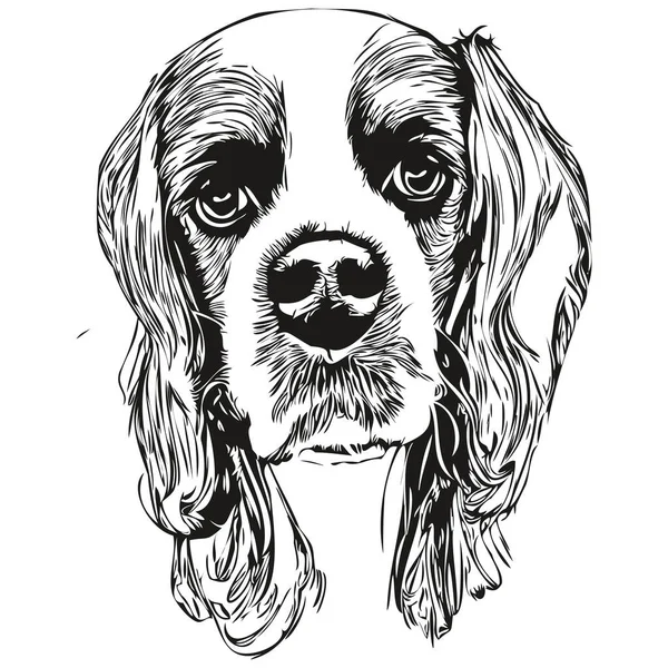 Şövalye Kral Charles Spaniels Köpek Siyah Beyaz Vektör Logosu Çizgili — Stok Vektör