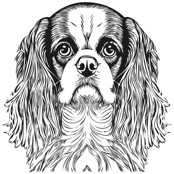 キャバリエキングチャールズスペイン犬手線画ベクトル描画黒と白のロゴペットイラスト比率 — ストックベクタ