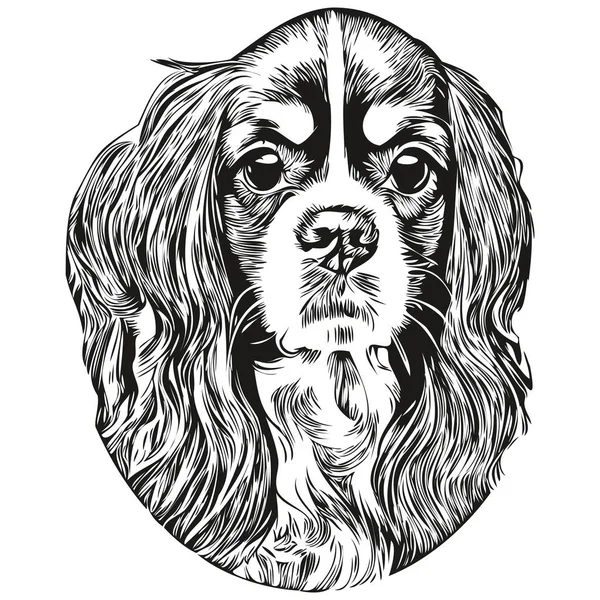 キャバリエキングチャールズスペイン犬ラインアートハンドドローイングベクトルロゴ黒と白のペットイラスト比率 — ストックベクタ