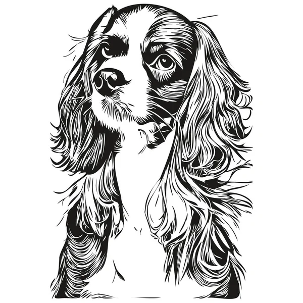 Şövalye Kral Charles Spaniels Köpek Çizgisi Sanat Çizimi Vektör Logosu — Stok Vektör