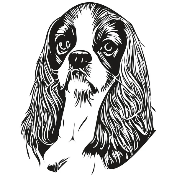 キャバリエキングチャールズスペイン犬ラインアートハンドドローイングベクトルロゴ黒と白のペットイラスト比率 — ストックベクタ