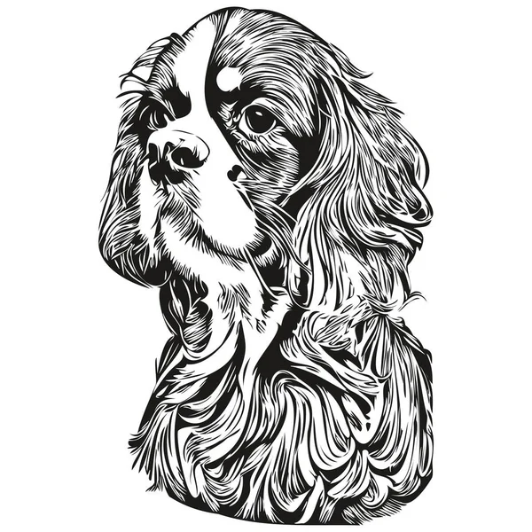Cavalier King Charles Španěl Pes Logo Ručně Kreslené Čáry Art — Stockový vektor
