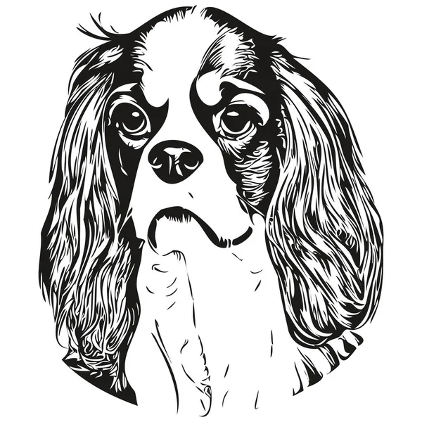 Cavaleiro Rei Charles Spaniels Cão Logotipo Mão Desenhada Linha Arte — Vetor de Stock