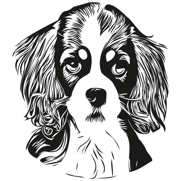 キャバリエキングチャールズスペイン犬のロゴ手線画ベクトル描画黒と白のペットイラスト比率 — ストックベクタ