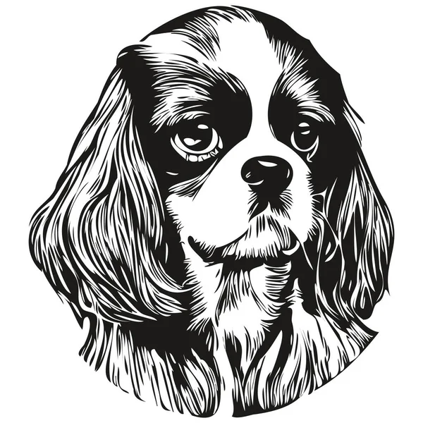 キャバリエキングチャールズスペイン犬のロゴ手線画ベクトル描画黒と白のペットイラスト比率 — ストックベクタ