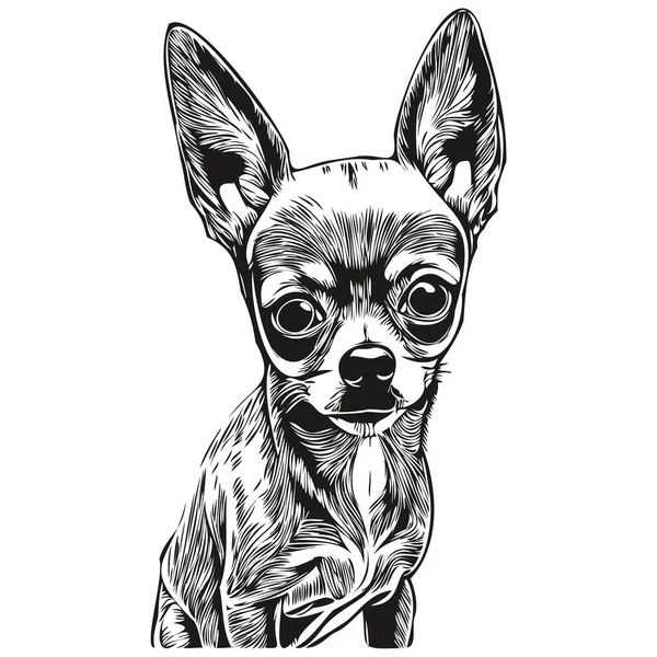 Chihuahua Cão Logotipo Vetor Preto Branco Linha Arte Mão Desenhada — Vetor de Stock