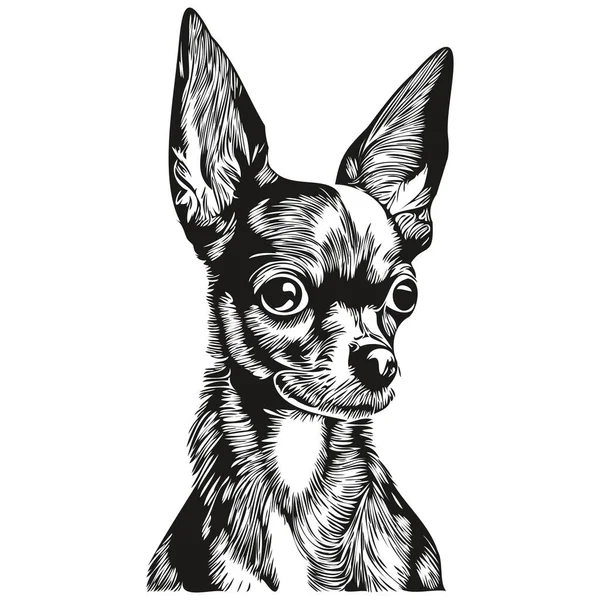 Chihuahua Pies Czarny Biały Wektor Logo Linia Sztuki Ręcznie Rysowane — Wektor stockowy