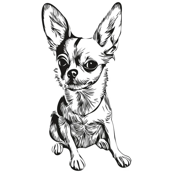 Chihuahua Cão Mão Desenhada Linha Arte Vetor Desenho Preto Branco — Vetor de Stock