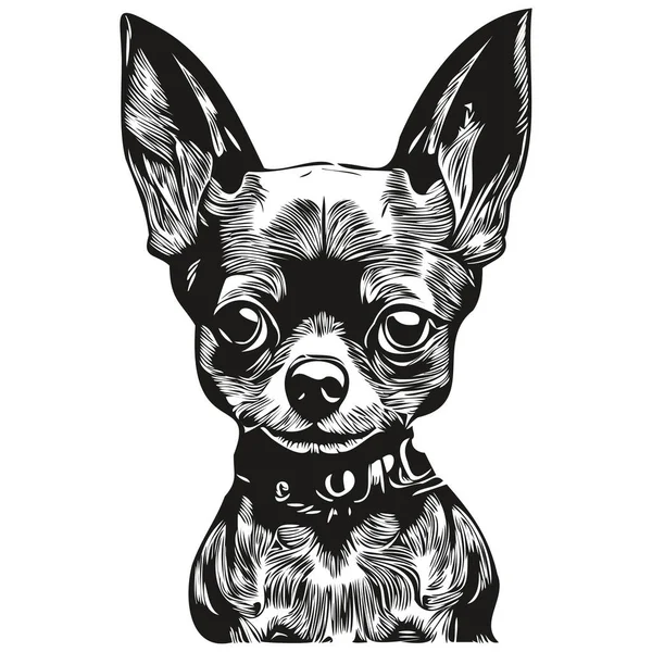 Chihuahua Köpek Eli Çizilmiş Sanat Vektörü Siyah Beyaz Logo Hayvanları — Stok Vektör
