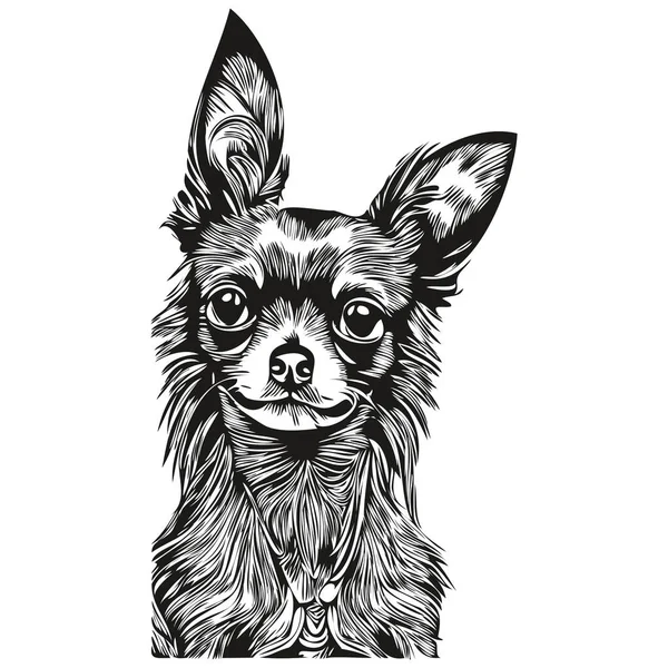 Chihuahua Hond Hand Getrokken Lijn Kunst Vector Tekening Zwart Wit — Stockvector