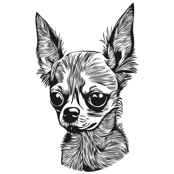 Chihuahua Hund Linje Konst Hand Rita Vektor Logotyp Svart Och — Stock vektor