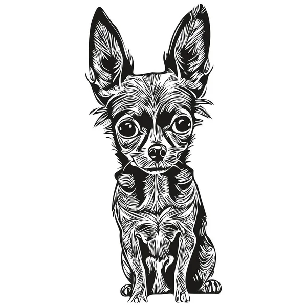 Chihuahua Pies Linia Sztuka Ręka Rysunek Wektor Logo Czarno Białe — Wektor stockowy