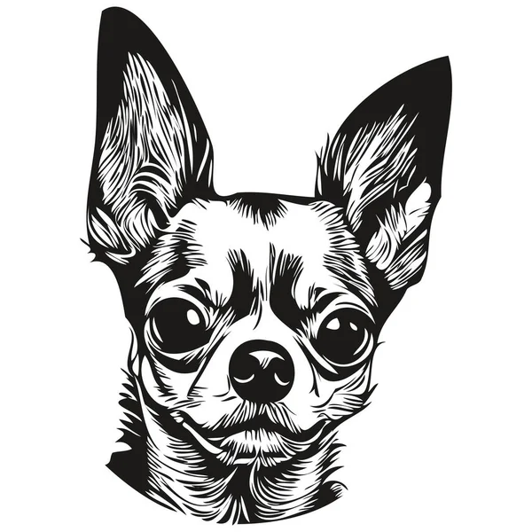 Chihuahua Dog Logo Hand Drawn Line Art Vector Drawing Black — Stock Vector