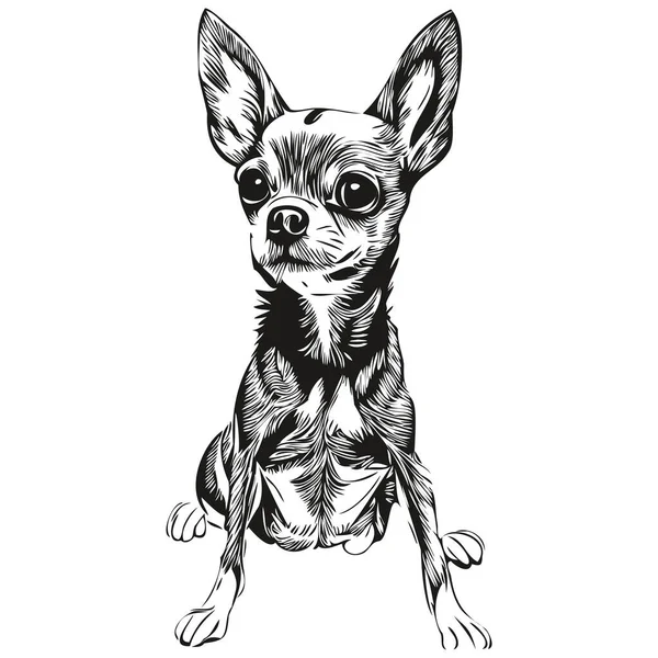 Chihuahua Köpek Logosu Çizilmiş Sanat Vektörü Siyah Beyaz Evcil Hayvan — Stok Vektör