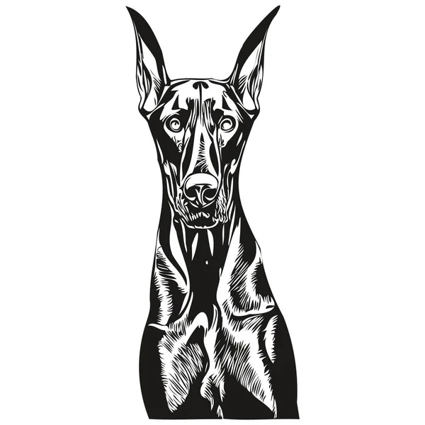 Doberman Pinschers Perro Blanco Negro Vector Logotipo Línea Arte Dibujado — Archivo Imágenes Vectoriales