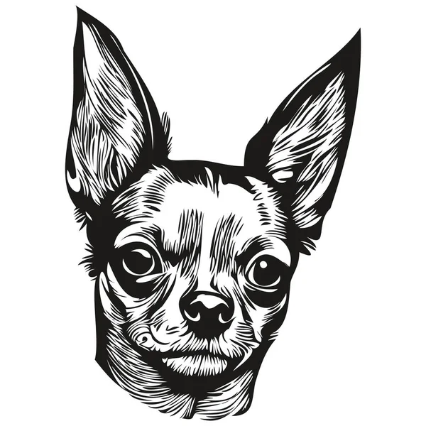 Logo Anjing Chihuahua Gambar Tangan Garis Vektor Seni Gambar Hitam - Stok Vektor