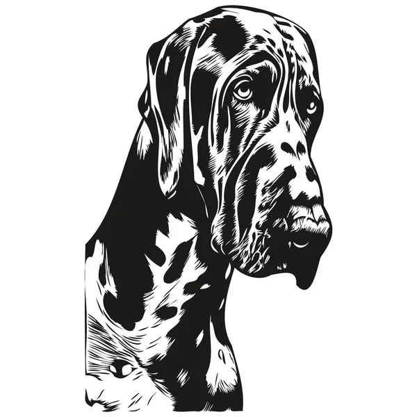 大丹狗手绘线条艺术矢量画黑白标识宠物插图 — 图库矢量图片