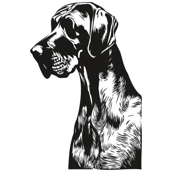 Büyük Danua Köpeği Çizimi Çizimi Sanat Vektörü Siyah Beyaz Logo — Stok Vektör