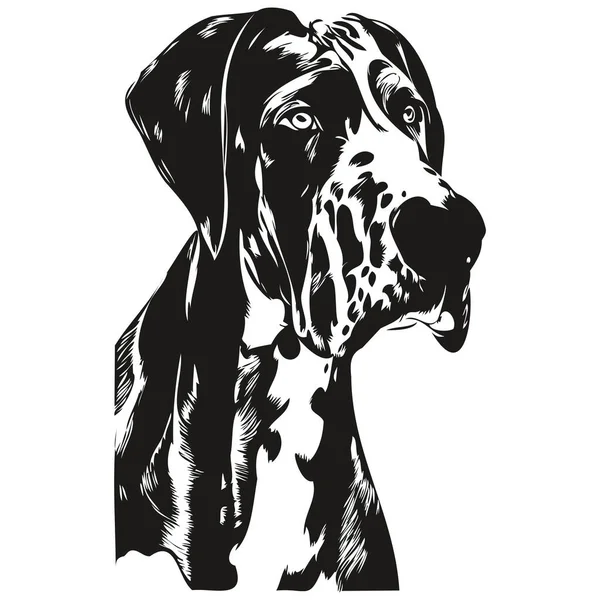 Wielki Dane Pies Ręcznie Rysowane Linii Sztuki Wektor Rysunek Czarno — Wektor stockowy