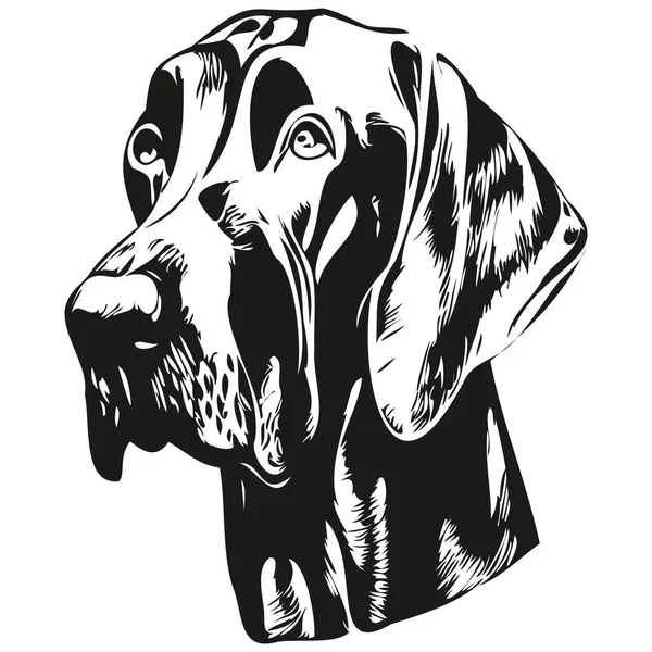 Grande Cão Dinamarquês Mão Desenhada Linha Arte Vetor Desenho Preto — Vetor de Stock