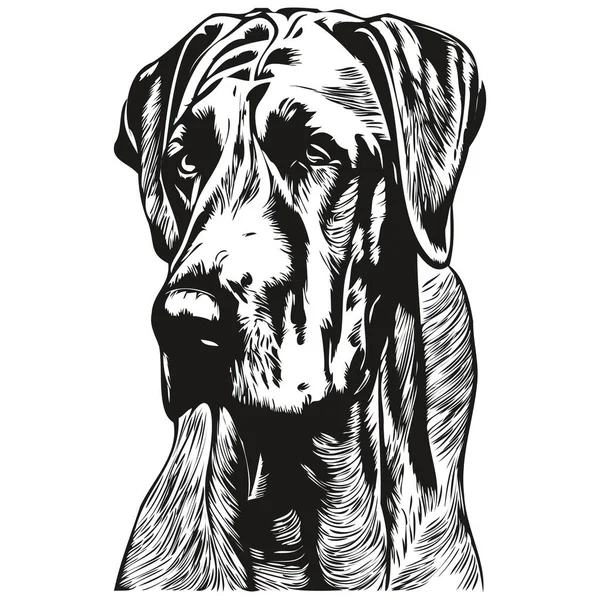 Great Dane Dog Line Art Hand Drawing Vector Logo Black — Stock Vector