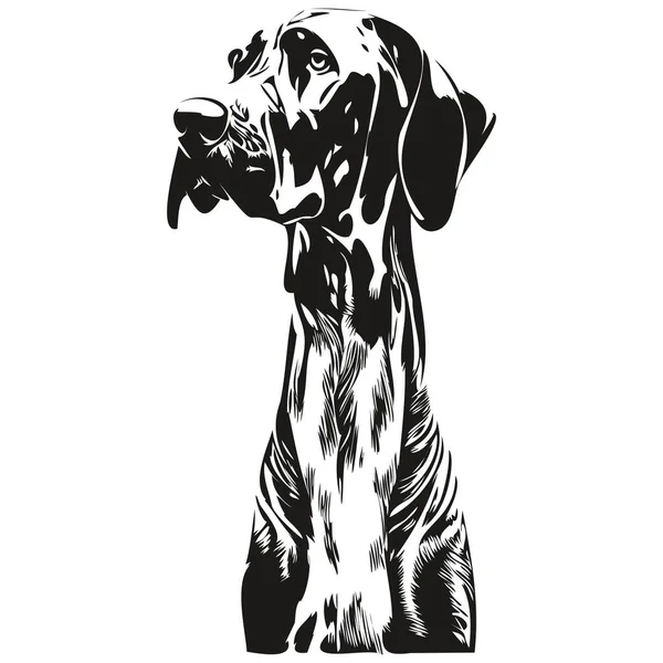 Gran Danés Perro Logotipo Dibujado Mano Línea Arte Vector Dibujo — Archivo Imágenes Vectoriales
